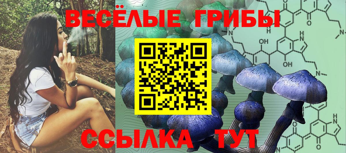 Псилоцибиновые грибы Psilocybe  Вход с VPN  Моздок 